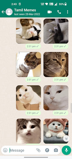 Cat Animated Stickers Screen 3