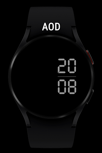 WR 020 Digital Watch Face