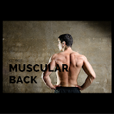 Get More Muscular Back icon