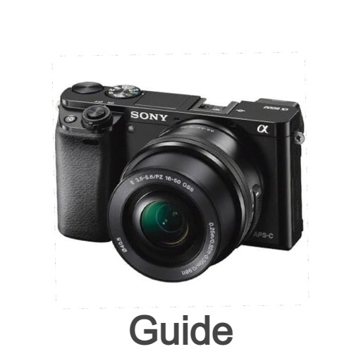 Sony a6000 camera guide logo
