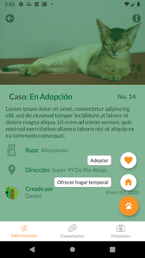 Unidos por los animales