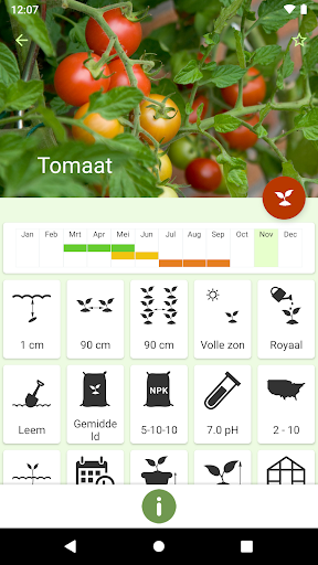 Gardroid - Groenten tuin