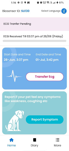 PetCardio EasyHolter