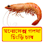 মনোসেক্স গলদা চঠংড়ঠ চাষ ~ Monocess lobster shrimp