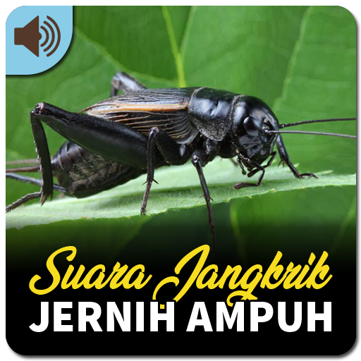Suara Jangkrik Jernih logo