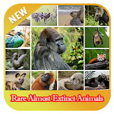 Rare Almost Extinct Animals icon