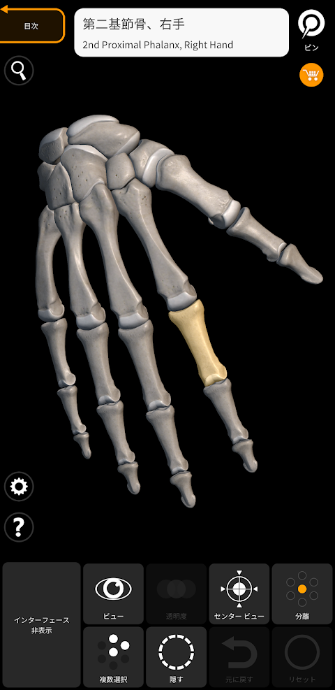 骨格 | 解剖学3D アトラスのおすすめ画像4