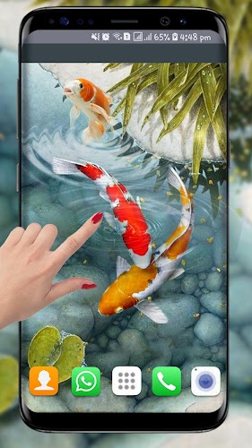Изтеглете Fish Live Wallpaper free: Koi Fish Backgrounds HD APK Последна  версия 88888888888888 от Zinko Apps за устройства с Android