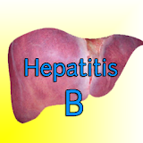 Hepatitis B icon