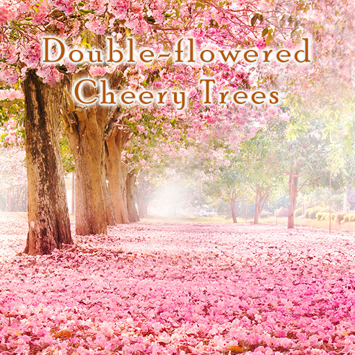 Double-flowered Cheery Trees 1.0.0 Icon