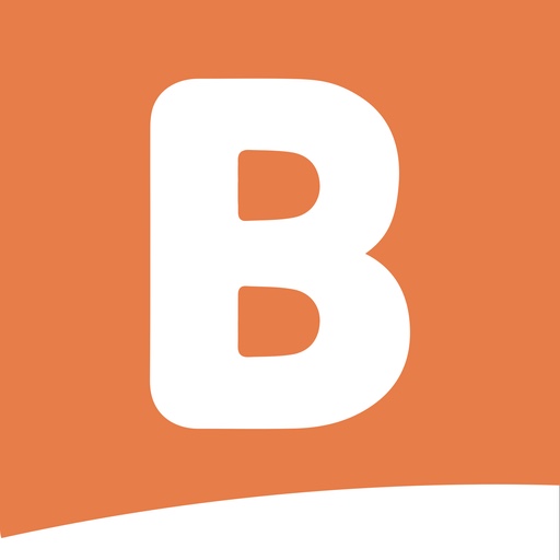 Bolsta Raffles logo
