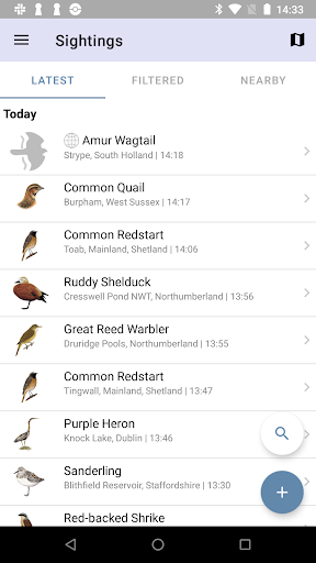 BirdGuides Screen 2