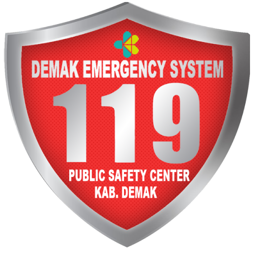 DES 119 logo