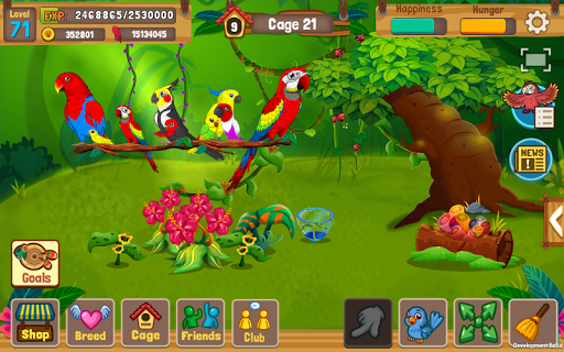 Bird Land: Pet Shop Bird Games MOD APK 1.105 (Unlimited Coins)-3