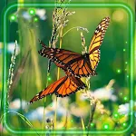 Cover Image of Unduh Butterflies Bright 1.3 APK