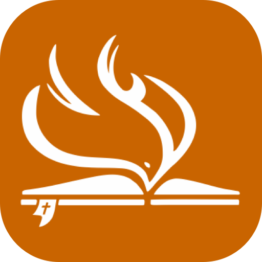 Nazareno Roraima logo