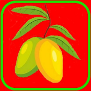 how to plant mango
