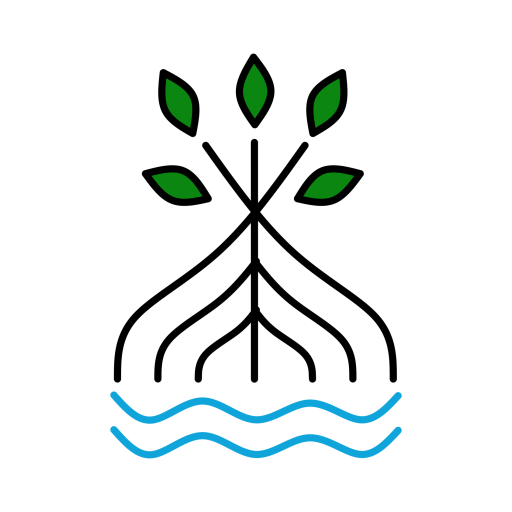 Destino canavieiras logo