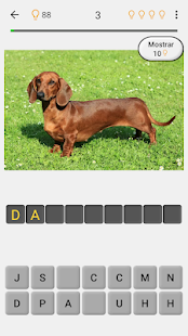 Perros - Quiz acerca de todas las razas populares Screenshot