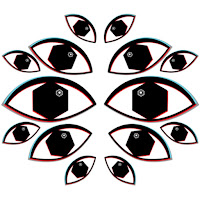 Symmetric Vision