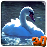 Swans Video Wallpaper icon