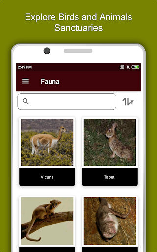 Arequipa Travel and Explore Off