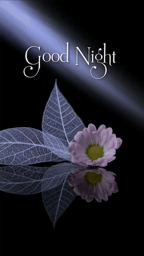 Beautiful Good Night Images Screen 2