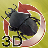 The 3D昆虫 セレクション II icon