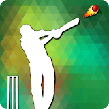 Cricket Net Run Rate Calculate icon
