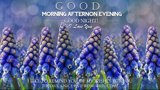 Android application Good Morning Afternoon Night screenshort