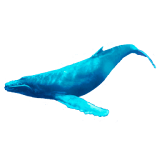 Whale Humpback Sticker icon