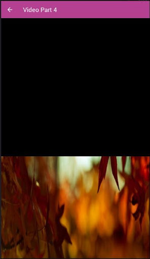 Jaranan Setyo Budoyo Bangle