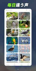 ワンダーアニマル：180の動物と鳥の音ゲーム
