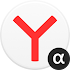 Yandex Browser (alpha) 22.7.5.25 