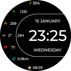 Digital Fnx371 Watch Face