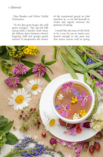 Screenshot of My Herbs Magazine
