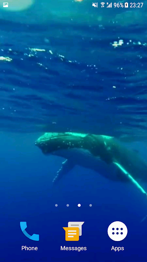 Whale HD Video Live Wallpaper Screen 3