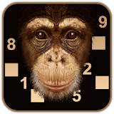 Beat the chimp - Brain puzzle icon