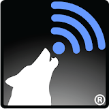 Wolf WiFi Pro Net Tools Demo icon