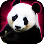 Cover Image of Download Slots Lucky Panda Casino Slots 1.1.0 APK