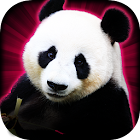 老虎机幸运熊猫赌场老虎机 Slots Lucky Panda 1.1.0