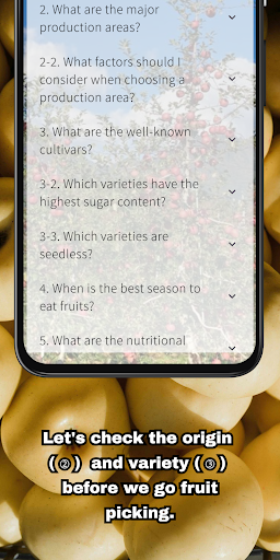 Fruit Picker in Japan