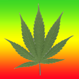 Weed HD Live Wallpaper icon