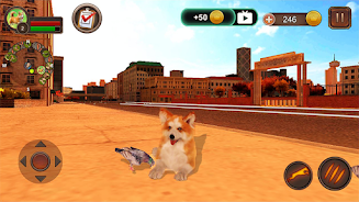 Corgi Dog Simulator – Apps on Google Play