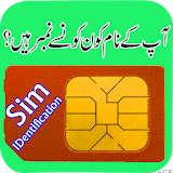 Pakistan SIM Info Identity icon