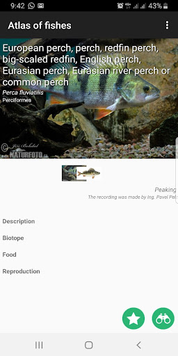 Fish of Europe (Freshwater) screenshot 3
