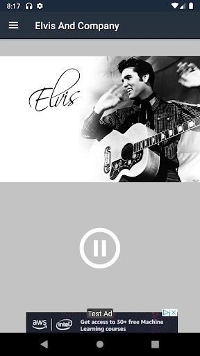 Elvis And Company Screen 2