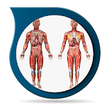 Anatomy 3D Pictures icon