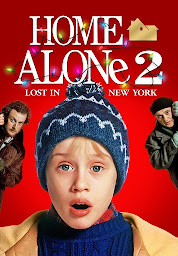 Icon image Home Alone 2: Lost in New York