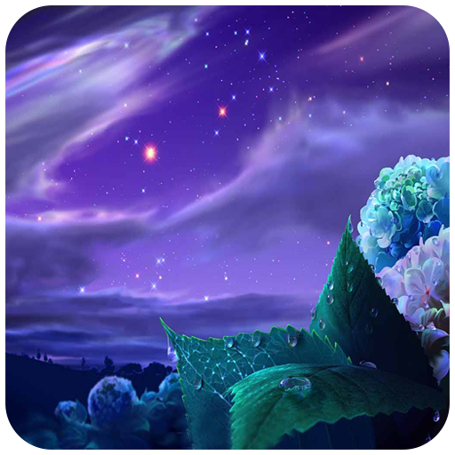 Night wallpapers 4K logo
